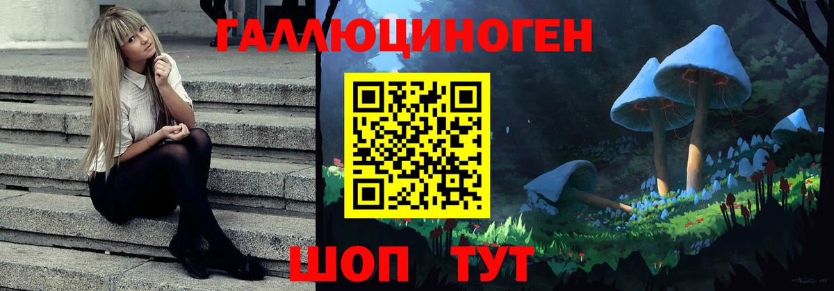 Видное  Галлюциногенные грибы мицелий  Вход с VPN  Галлюциногенные грибы Magic Shrooms 